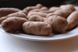 Bam Potato (81)