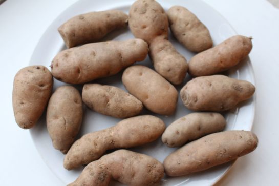Bam Potato (90)